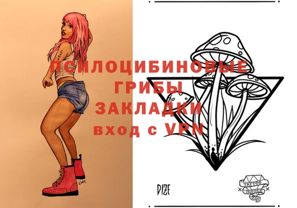 дурь Алзамай