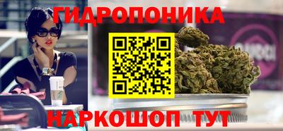 индика Ипатово