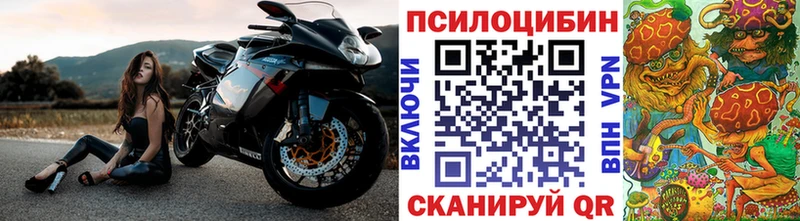 Псилоцибиновые грибы Psilocybe  Новоалександровск 
