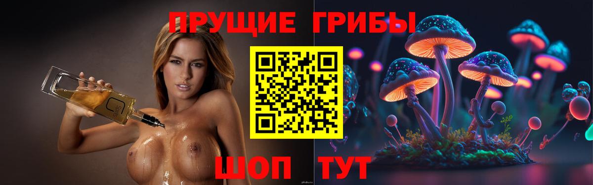 Псилоцибиновые грибы Psilocybine cubensis Новоалександровск